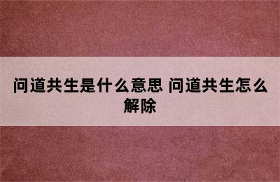 问道共生是什么意思 问道共生怎么解除